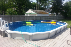 15x24  Oval Sharkline