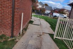 20241101_1553441-scaled