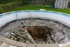 pool filter that needs to be replaces