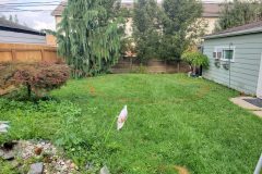 20250821_0834011-scaled